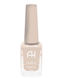 Ana Hickmann Organza