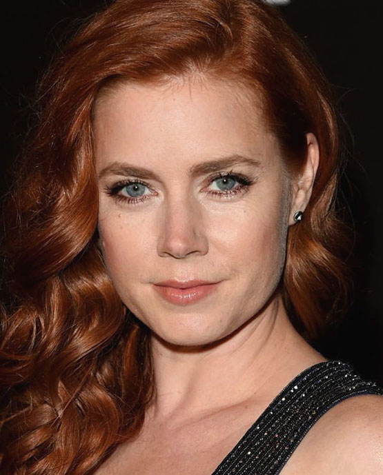 5-beleza-beauty-editor-acontece-sete-looks-com-amy-adams-2014-lacma-art-film-gala-in-los-angeles-2014-credito-divulgacao