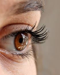 Área dos olhos em foco: a aparência das pálpebras ganhou destaque