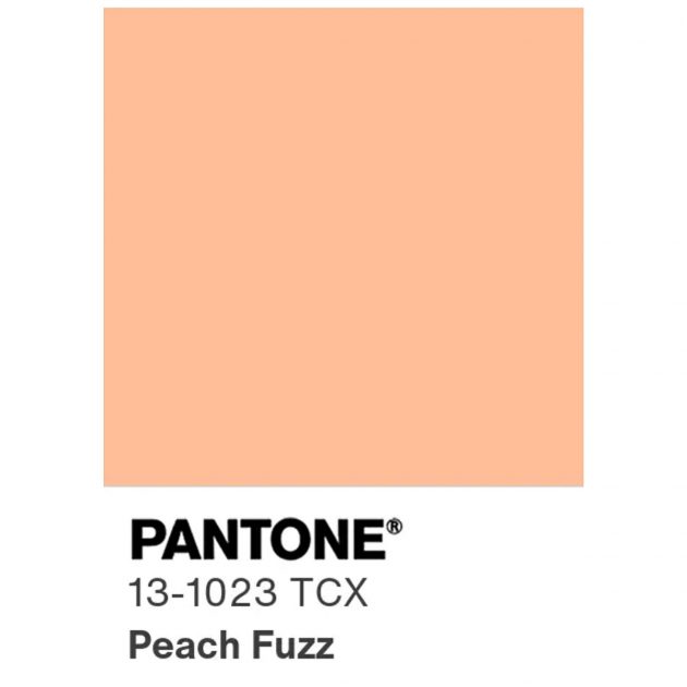 Peach Fuzz, a cor do ano 2024 Pantone