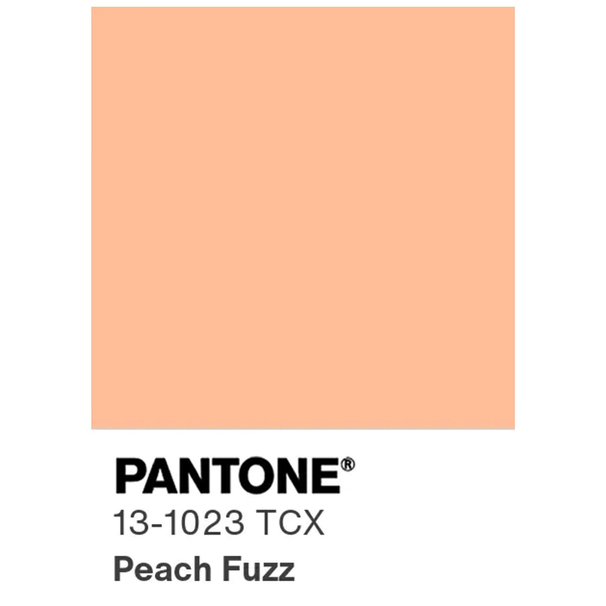 Peach Fuzz, a cor do ano 2024 Pantone